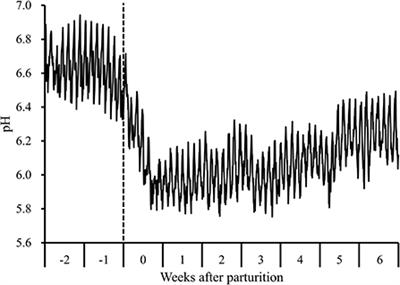 Parturition and postpartum dietary change altered ruminal pH and the predicted functions of rumen bacterial communities but did not alter the bacterial composition in Holstein cows